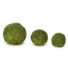 SHEET MOSS BALL PRESERVED 4"-  CLOSE OUT